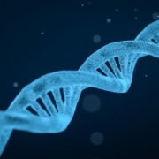 Arv contra miljø - DNA i slægtsforskning