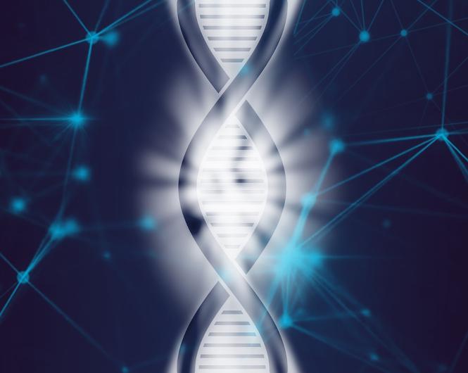 Slægtsforskning med DNA