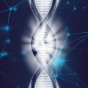 Slægtsforskning med DNA 2