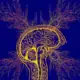At genkende en person med Aspergers syndrom