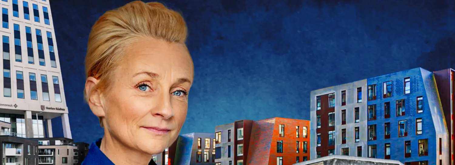 Skærmbillede fra DR-serien Er der en arkitekt til stede?